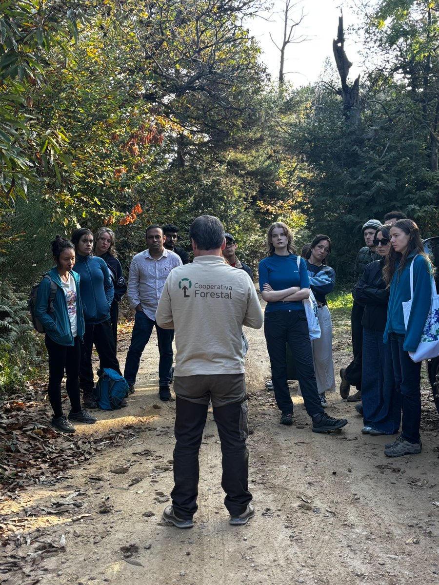 Cooperativa Forestal tweet media