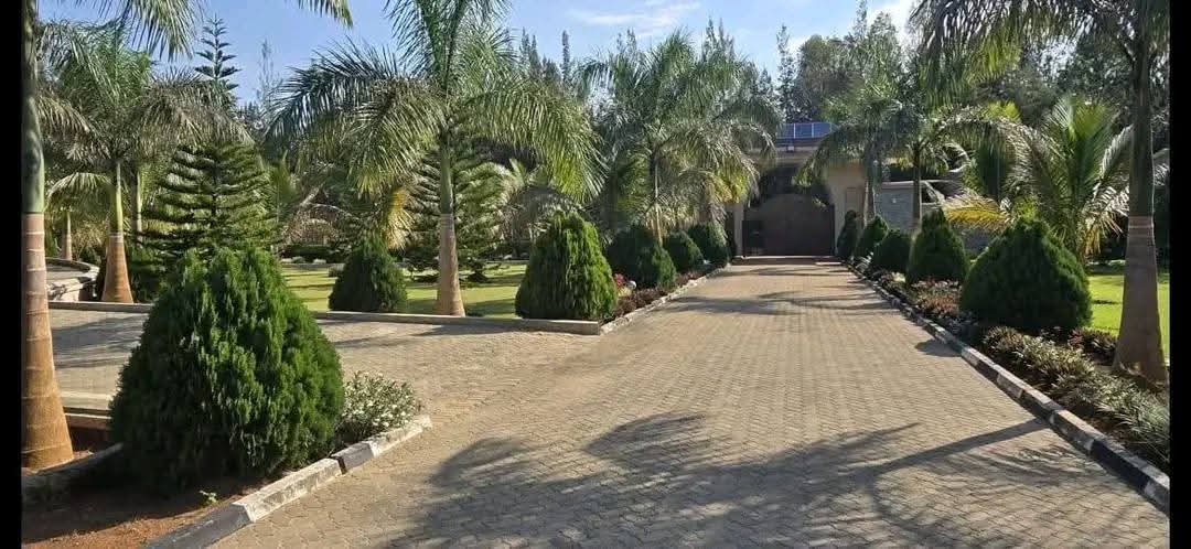 Siaya men are building heavenly houses on earth.