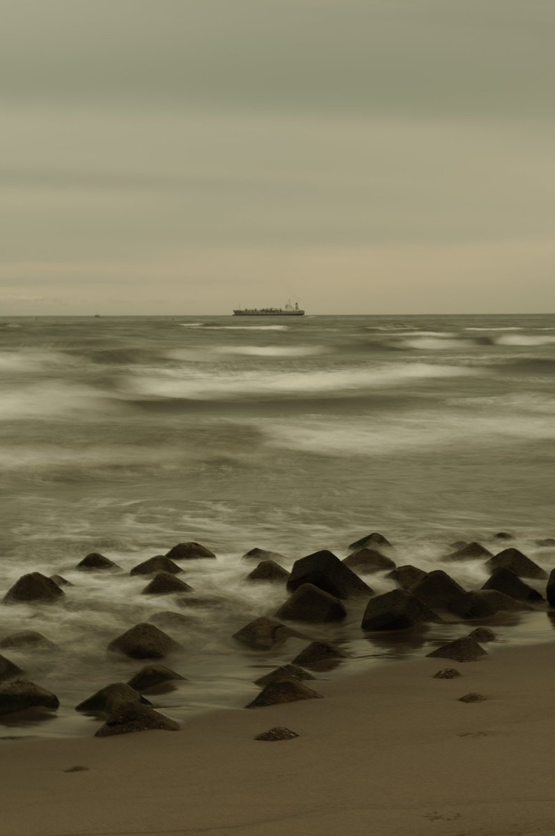 gaolang3c's tweet image. 秋の浜辺
SIGMA fp L & Lumix S 24-105 F4 Macro O.I.S
#naturephotography #naturelovers #sigmafpl #sigma #beach #beachlife