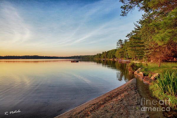 TLawren37609829's tweet photo. Summer Light at Sunset - https://t.co/QoYp63x65Z #summerlight #sunset https://t.co/2WZL1OApcj