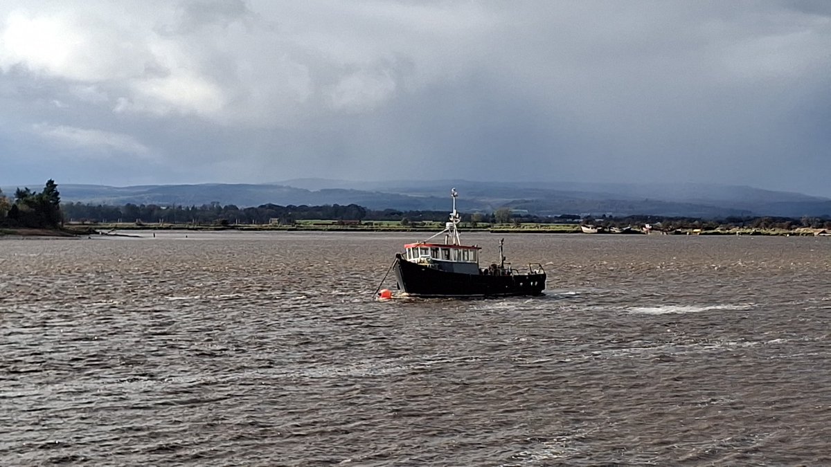 MossSwan's tweet photo. Alloa Harbour today 🐚🐬🌊⛵️ https://t.co/bxq3Jyf6Rr