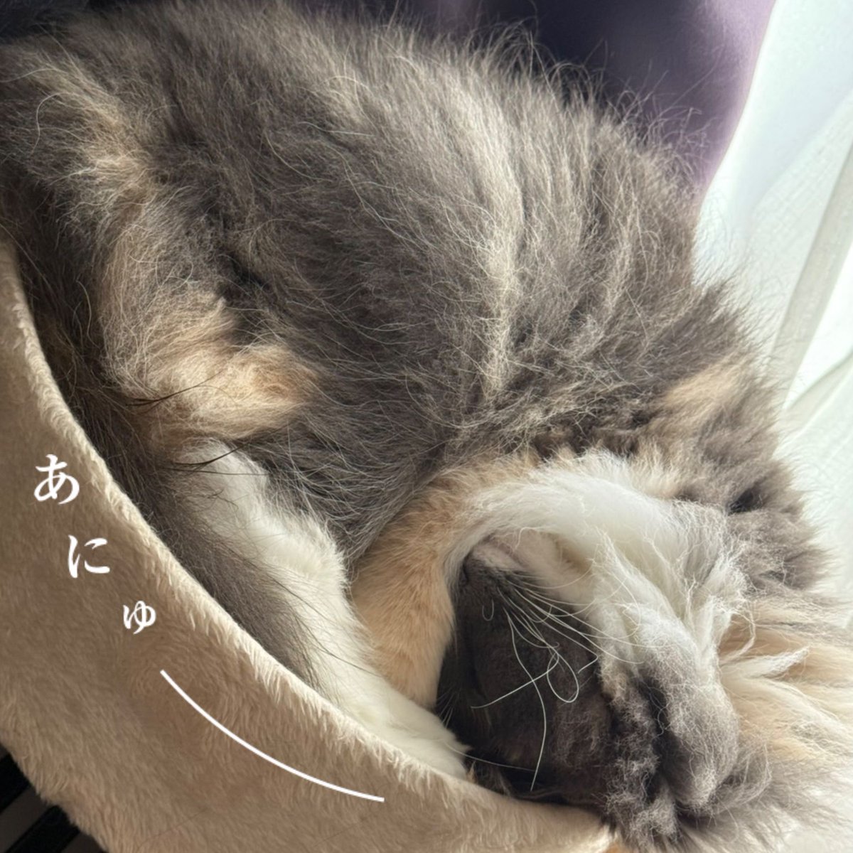 RW_PS_thinline's tweet photo. #RADWIMPS 
 #RADWIMPS20th 
 #あにゅー 
 #あにゅーメー���ー 
 #Anew https://t.co/ysmnKHmMAn