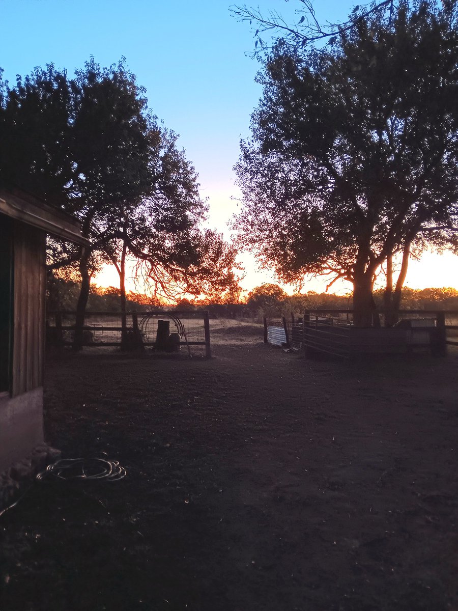 All the animals are fed. Time to start working on my honey-do list.