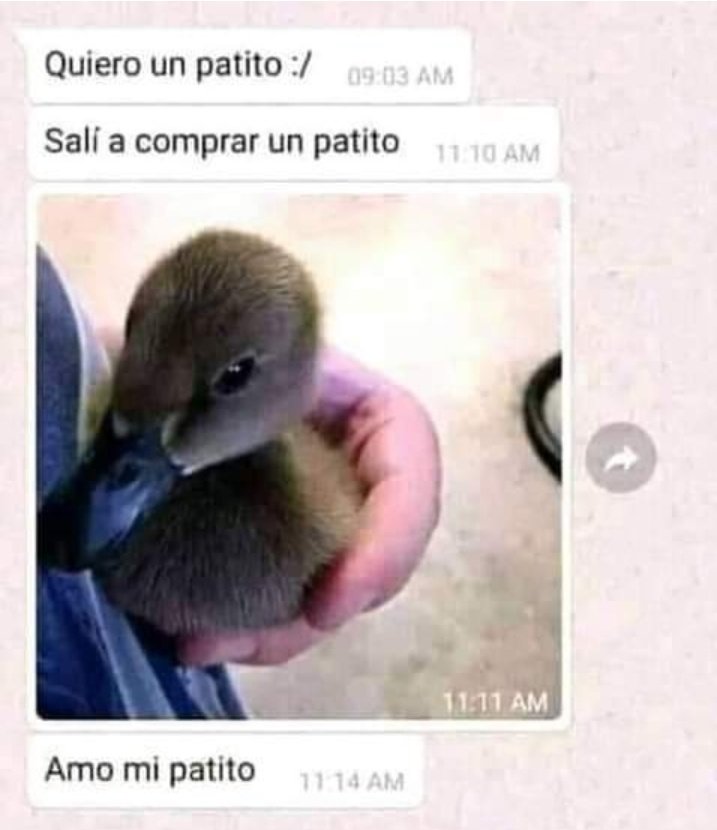 Ana_LaPatata (@ymuchosmemes) on Twitter photo  Ana_LaPatata (@ymuchosmemes) on Twitter photo