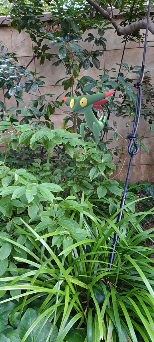 ゴーストタイプのかくれんぼ
透明になっちゃいけないルールでも
隠れるのは得意だもんね
#PokémonGO
#GOsnapshot 
#GOsnapshotCelebration