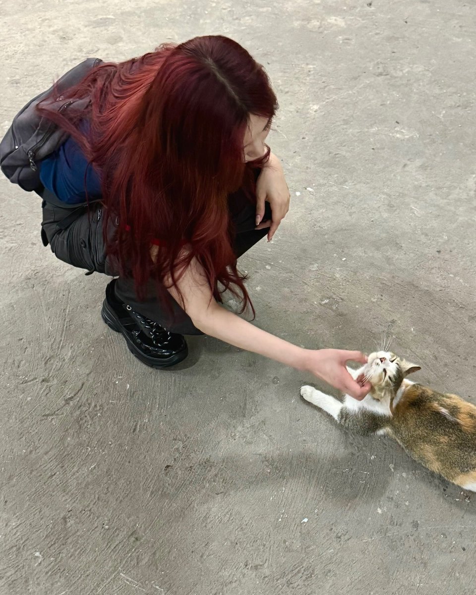 zoooie_1's tweet photo. 🐱🐶 https://t.co/dcvcjTWwBc