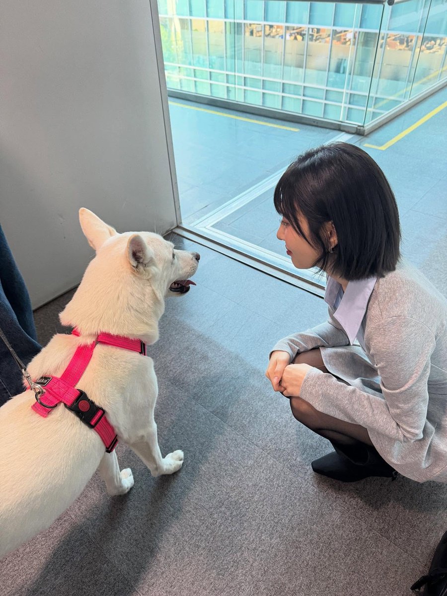 zoooie_1's tweet photo. 🐱🐶 https://t.co/dcvcjTWwBc