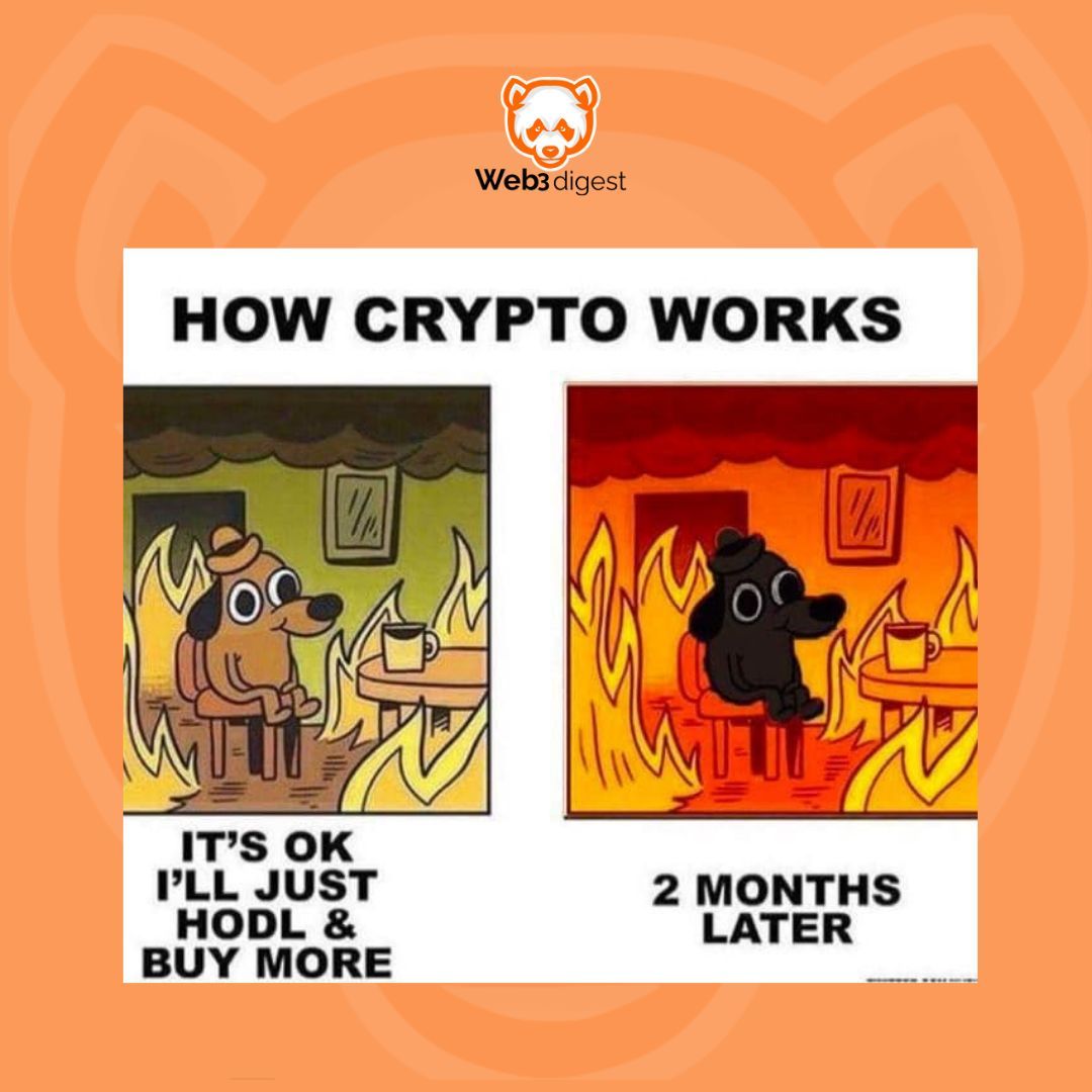 theweb3digest's tweet image. When you HODL your Crypto bags despite the Market Crash only for it get worse months after.
#cryptomemes #crypto #Web3