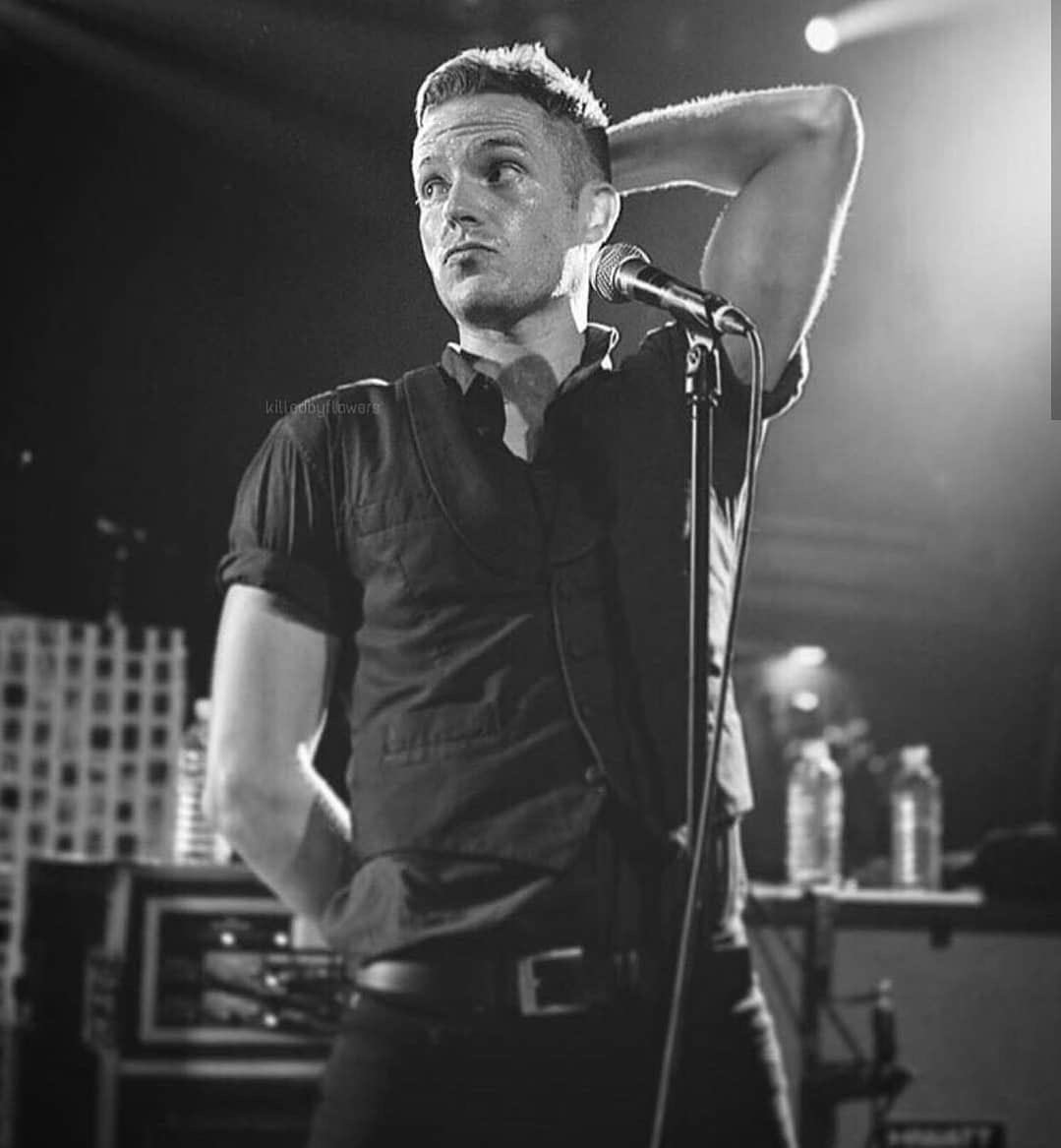 Brandon Flowers daily tweet media
