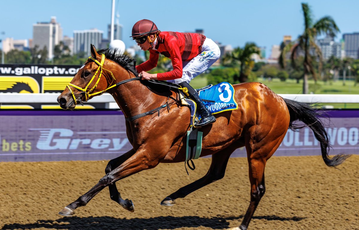 Di de Kock tweet media