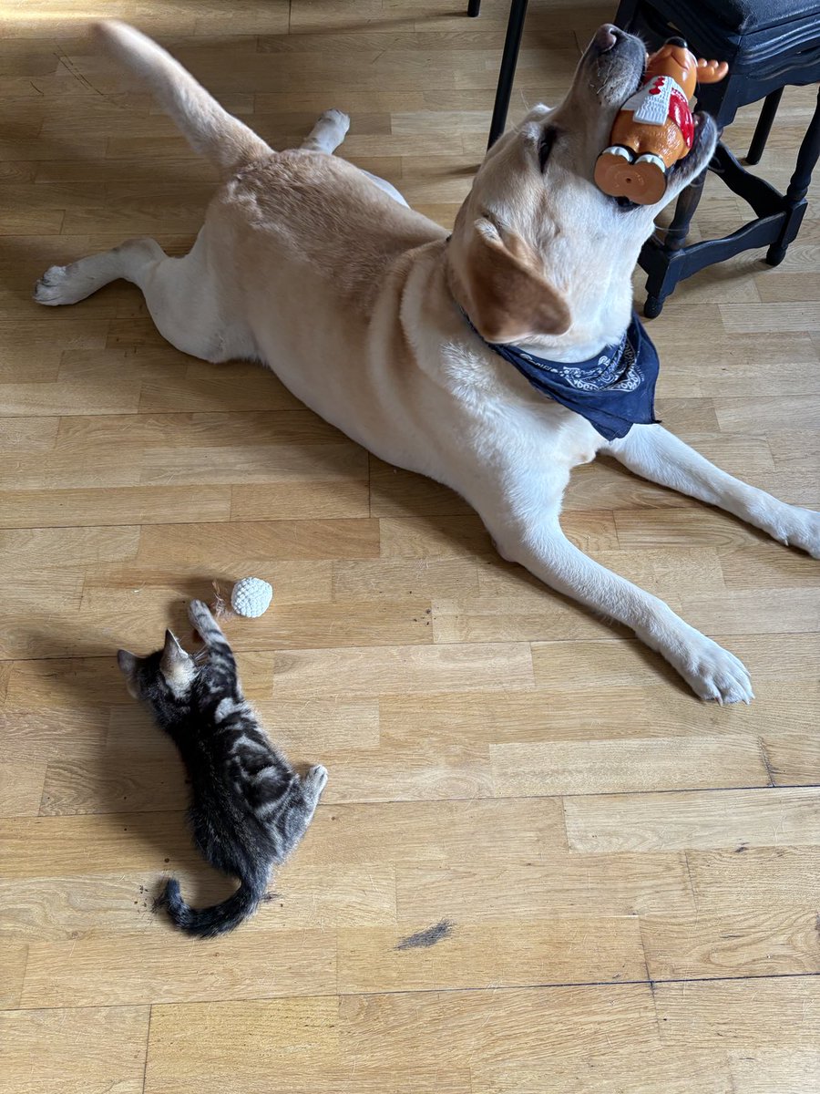 Pierwsze zabawy nowymi zabawkami od cioci.