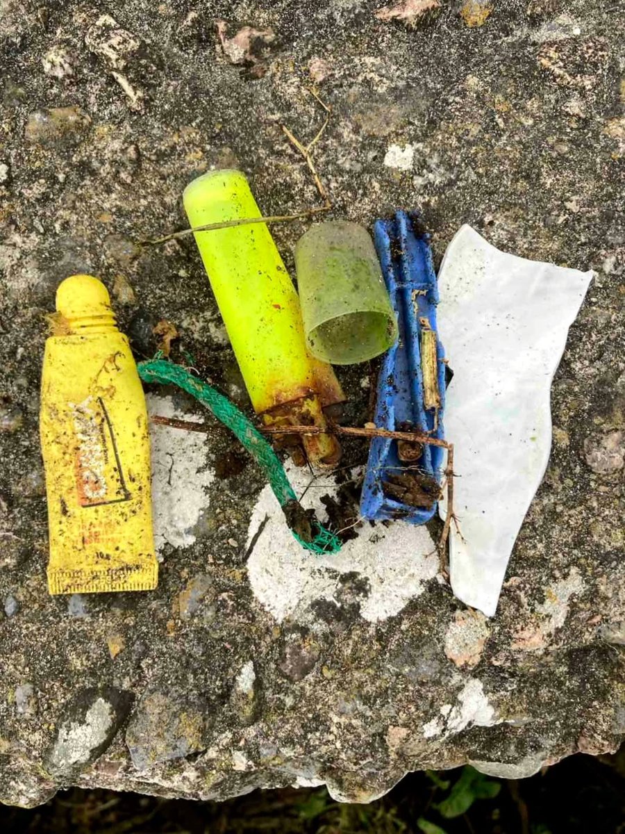 Clean Coasts tweet media