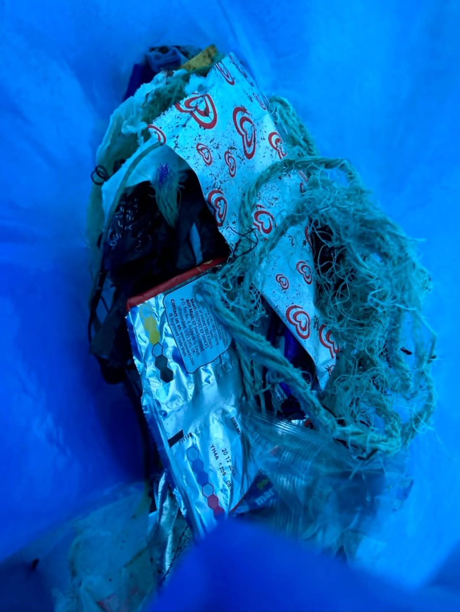 Clean Coasts tweet media