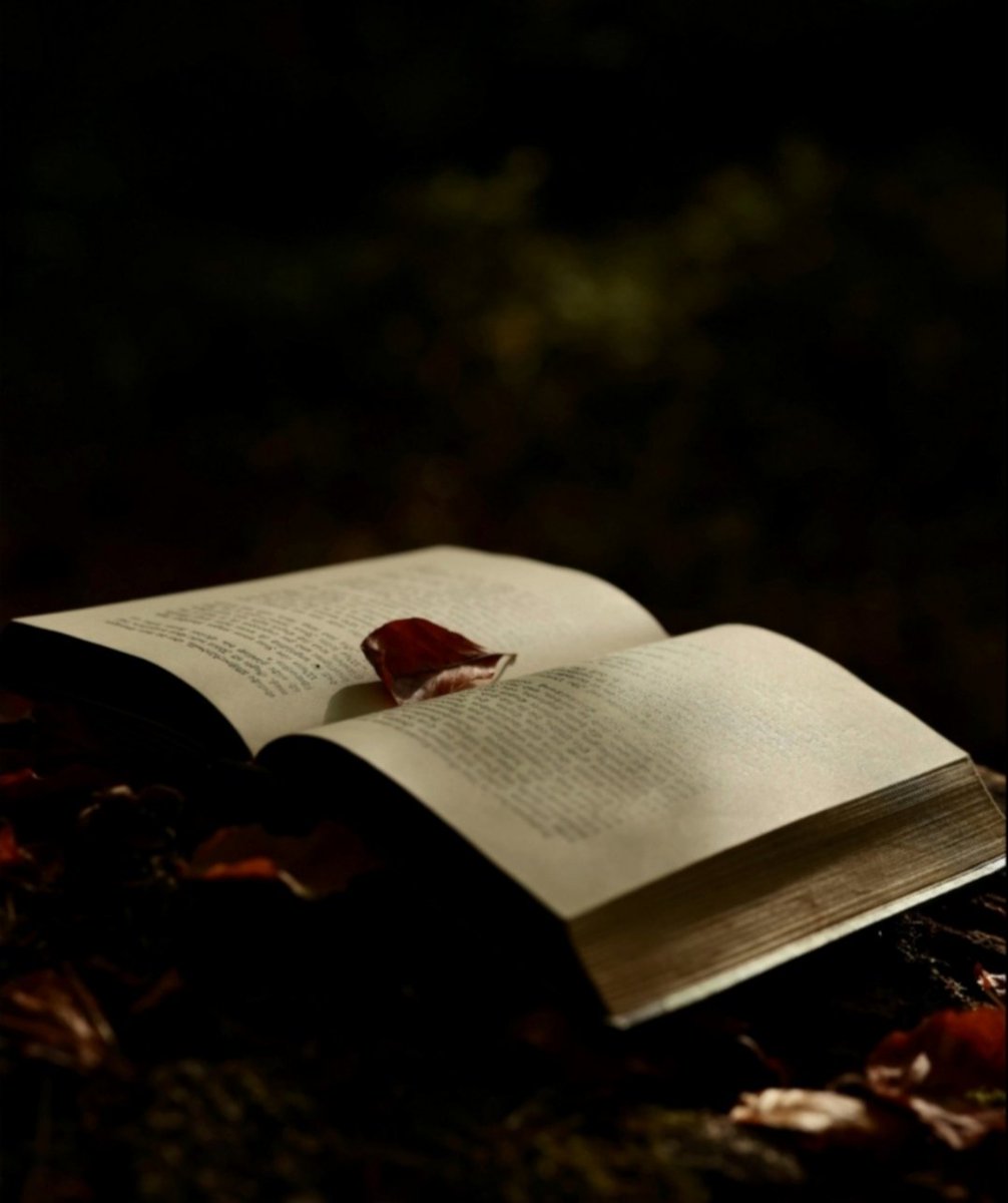 Es ist mit dem Lesen wie mit jedem anderen Genusse: er wird stets desto tiefer und nachhaltiger sein, je inniger und liebevoller wir uns ihm hingeben.

- Hermann Hesse