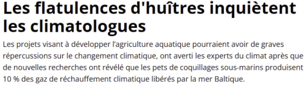 Introduction à la notion de pet de coquillage⤵️