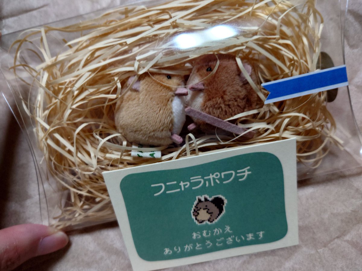 ☆なつ☆即購入歓迎☆断捨離中✩.*˚ のべつ (@1083kcal) / Posts / X