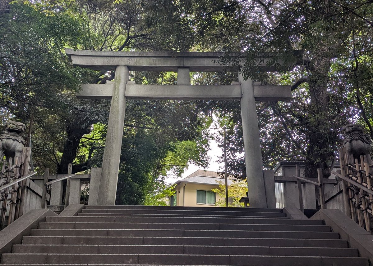 がくじん様　S (シェ) IMG_5112-e1739847001293.jpg