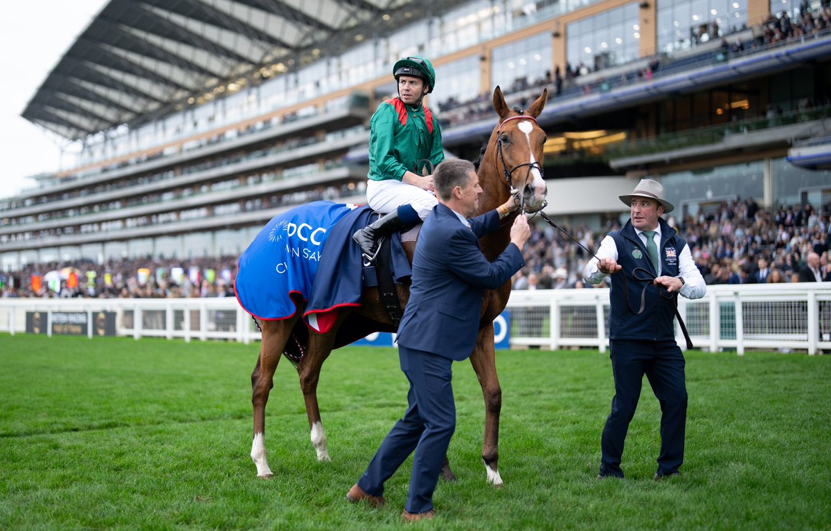 👀 "Trawlerman, Kalpana and most notably of all Calandagan do all those things and I think the last-named is as good a racehorse as I've seen in many a year."

Our superb columnist Tom Segal is full of praise for Champion Stakes winner Calandagan in this week's <a href="/RPWeekender/">Weekender</a>.