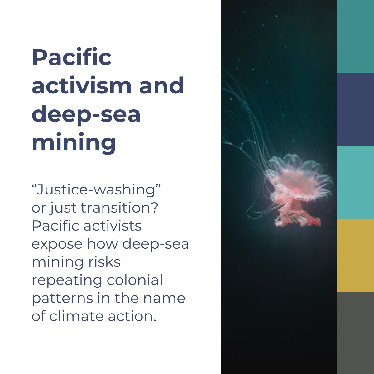 OceanFlotilla's tweet photo. 🗞️ New Ocean Science Roundup is live!

Head to our website to read all the latest studies on ocean and climate.

Looking for more? Check out past summaries of scientific reports on a broad range of ocean topics. #OneOceanOnePlanet
https://t.co/UabysidKLp https://t.co/d63dKfapW3