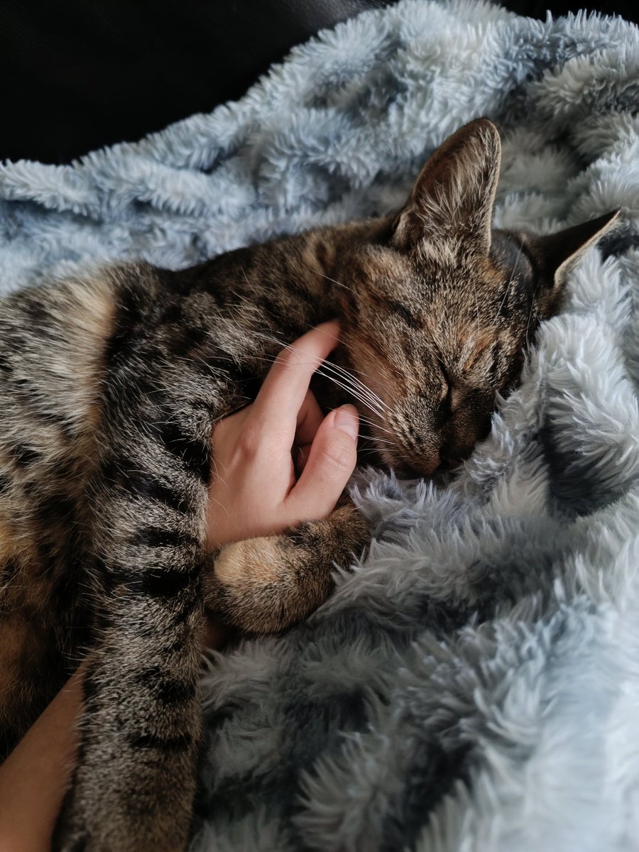 Wilbur¹² (@hugs4zhongli) on Twitter photo 