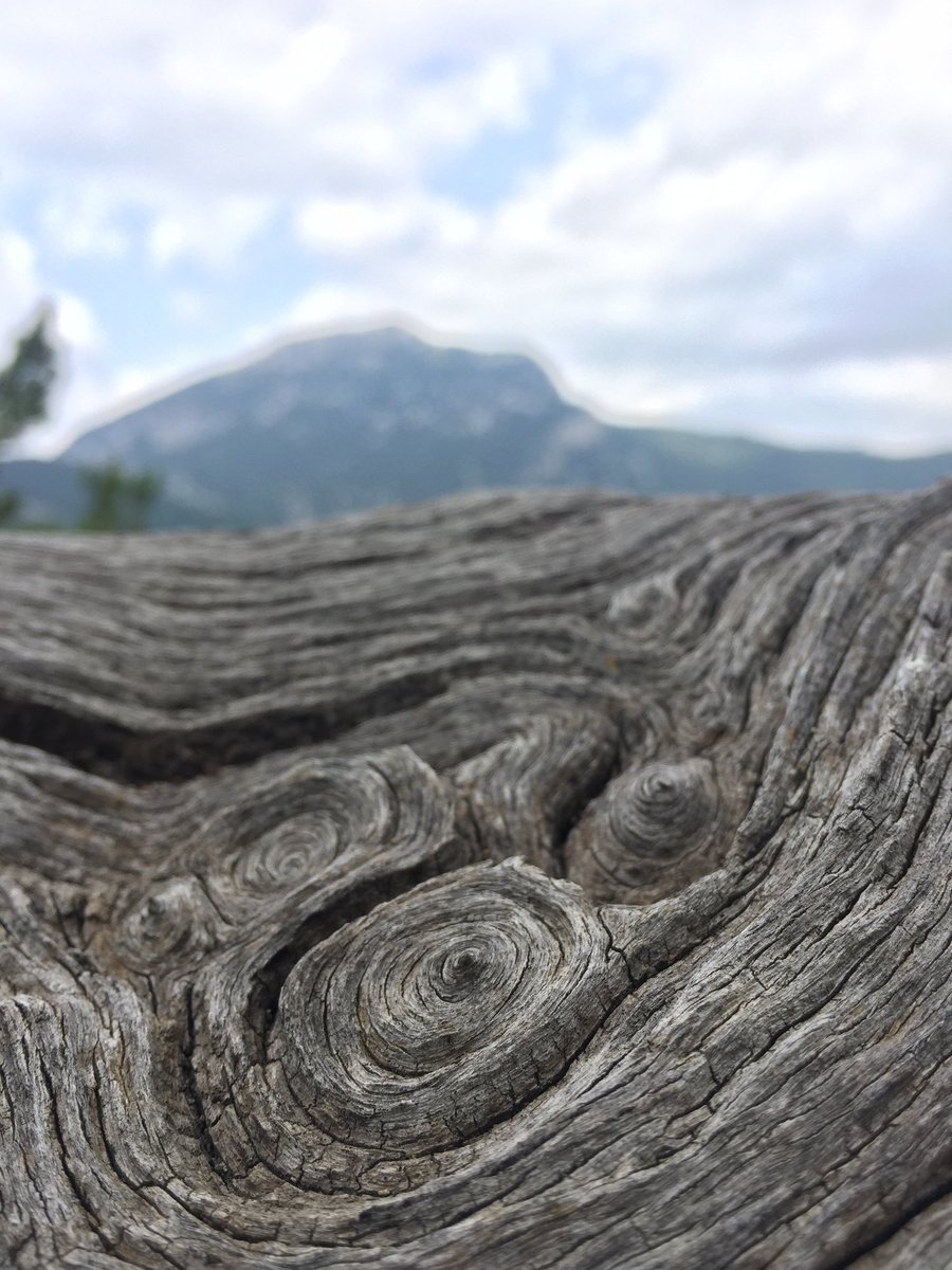 "Now you are 20, 40 or 50 years old, but this time and space, from the moment you were born till just now, where did it go?"—Read more: bit.ly/4dUmegn  #zen #time #moment #clear #now #perceive #kwanumzen