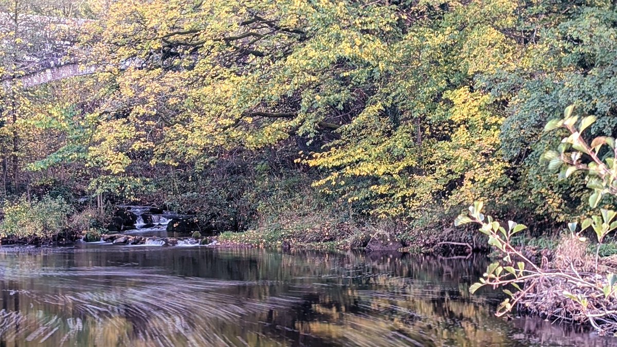 pacrabtree's tweet photo. Lanercost was our destination this afternoon for a walk. Apart from a very brief shower it's been dry and bright today. A decent autumnal day. #Brampton #Lanercost #Cumbria https://t.co/i31z0AfODh