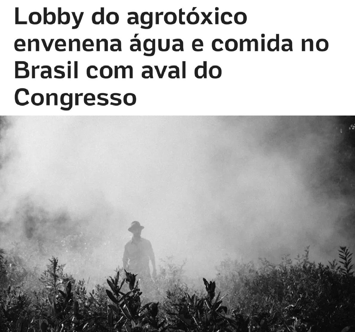 KriskaCarvalho's tweet photo. O Brasil está sendo envenenado em silêncio: os grandes interesses dos agrotóxicos atuam com impunidade, contaminando água, alimentos, solos e comunidades vulneráveis. Essa não é apenas uma tragédia ambiental, é um crime institucionalizado com base no lucro.

A matéria evidencia que, enquanto a lógica do agro tradicional proclama “produtividade”, o resultado real é o desrespeito à saúde pública e à soberania alimentar. Sem rastreabilidade, não há como saber o que entra em nossa comida ou de onde vem o veneno.

A hora de agir é agora. Exigimos rastreamento obrigatório de agrotóxicos, transparência total na cadeia e responsabilização de quem lucra com o envenenamento coletivo.

CONTROLEM OS AGROTÓXICOS