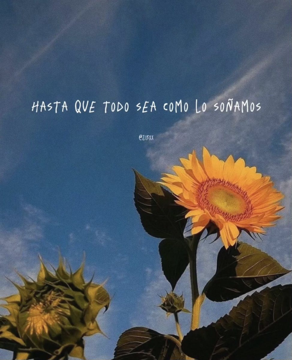 ramé (@escritosrame) on Twitter photo 