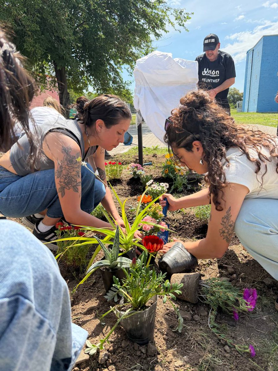 UNTREF's tweet photo. Este espacio resignifica el árbol que plantamos en 2021 por la campaña #PlantamosMemoria y ahora suma una placa con el mosaico del pañuelo 🤍, símbolo de la lucha incansable y el amor de Madres y Abuelas. https://t.co/Uj3ZwcSFa7