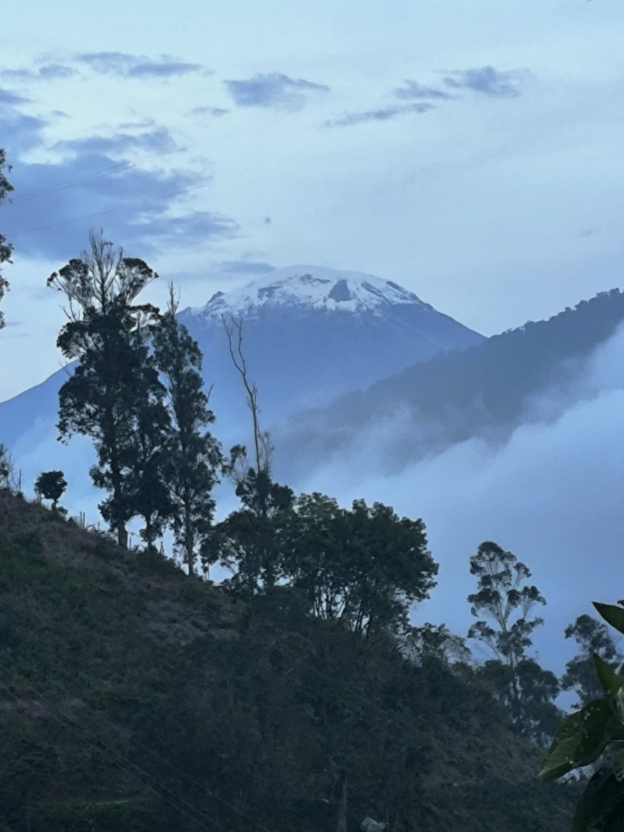 Camilo Correa Ayram tweet media