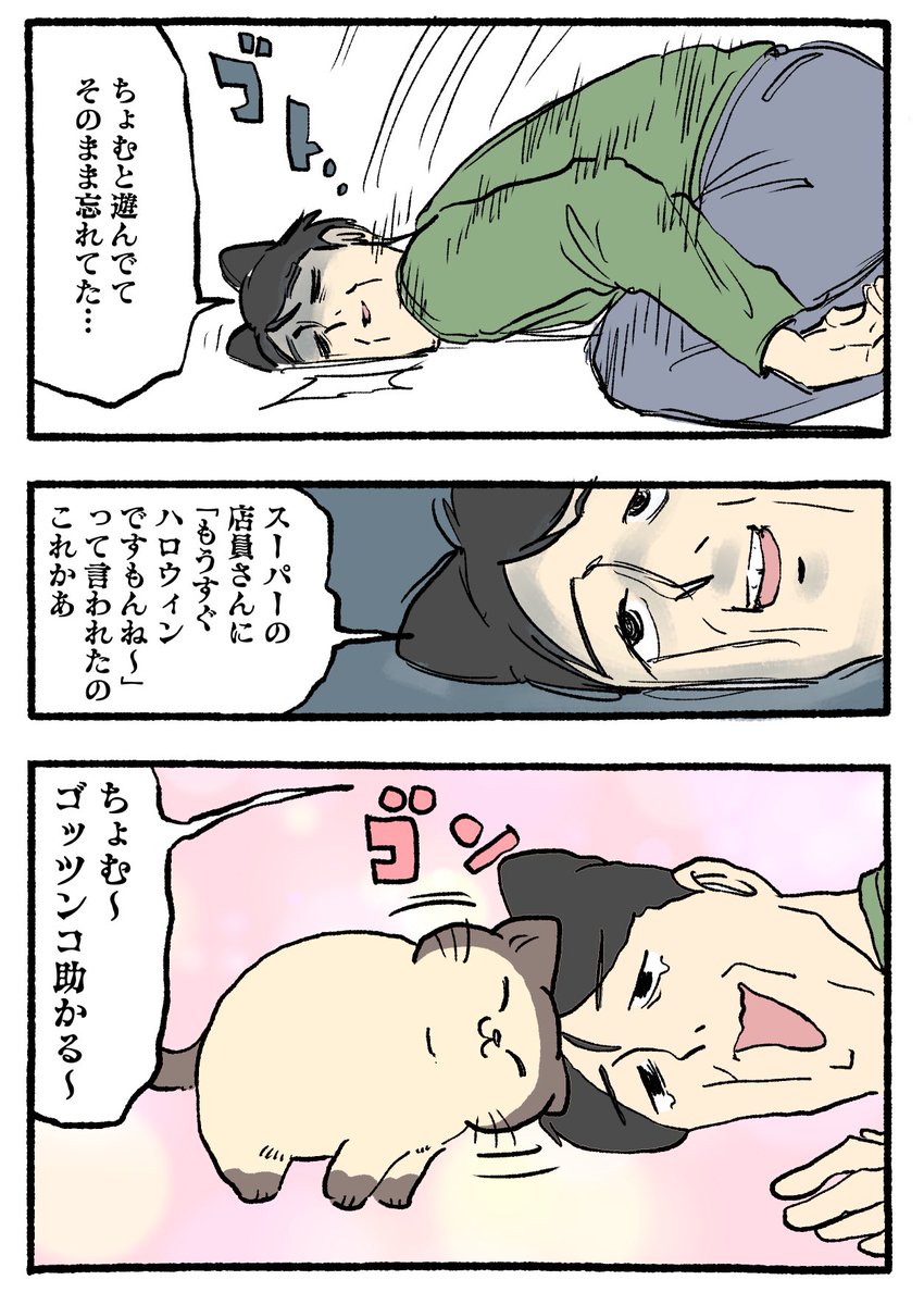 ねこに転生したおじさん。その816