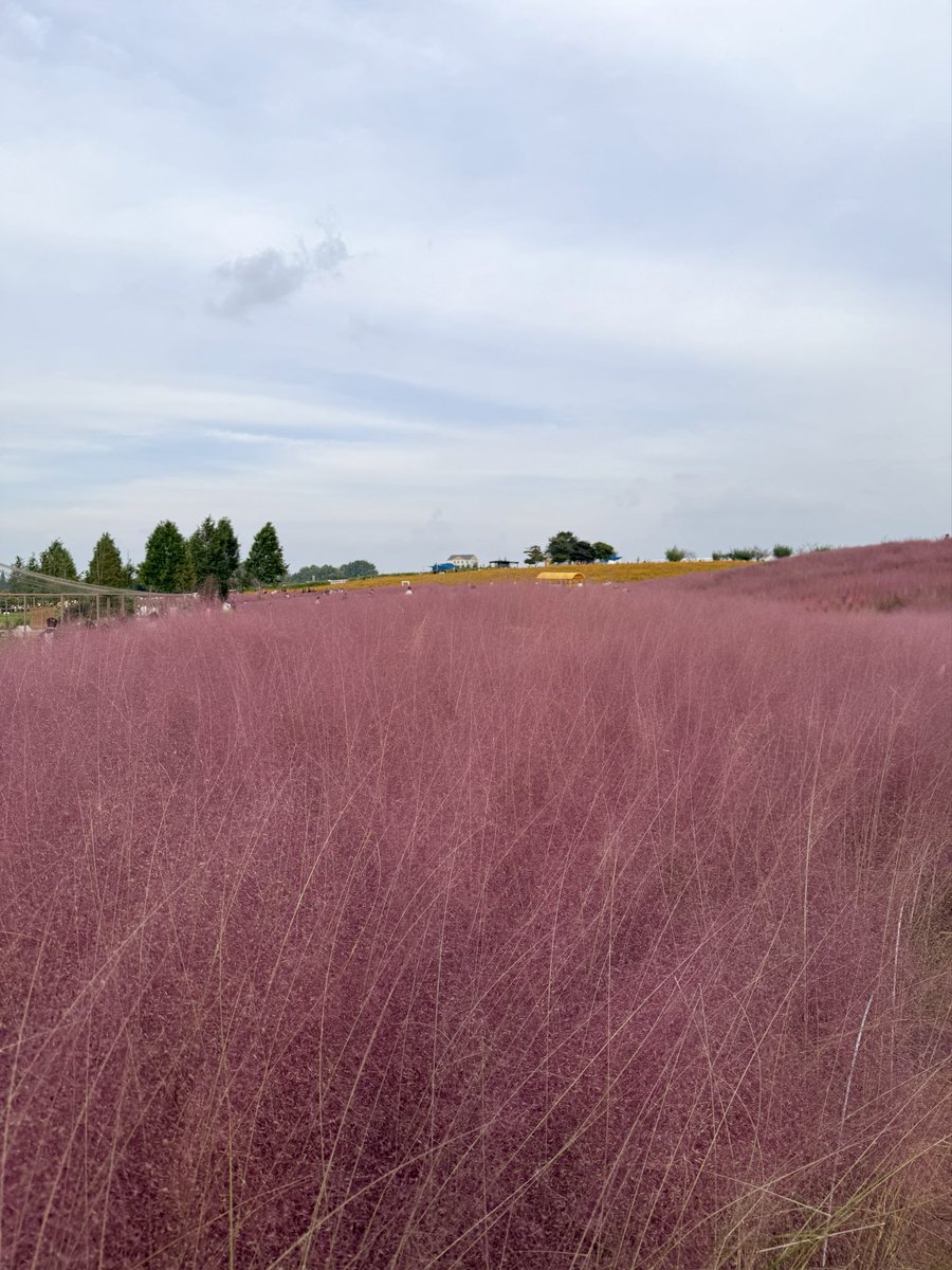 분명 가을이었는데 ..