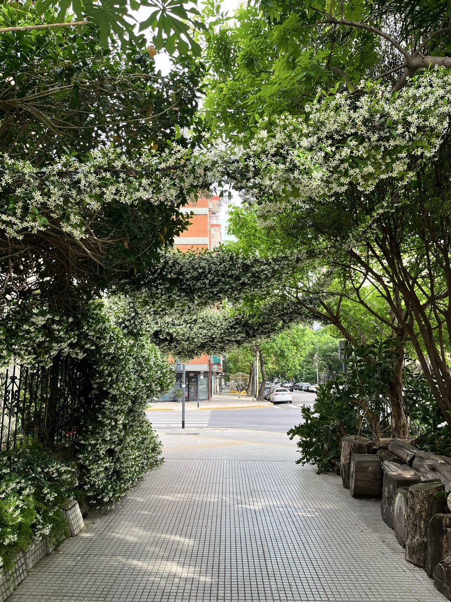 Necesitamos más gente con una visión.
Esta vecina por ejemplo dijo: yo quiero una pérgola de jazmines en la vereda