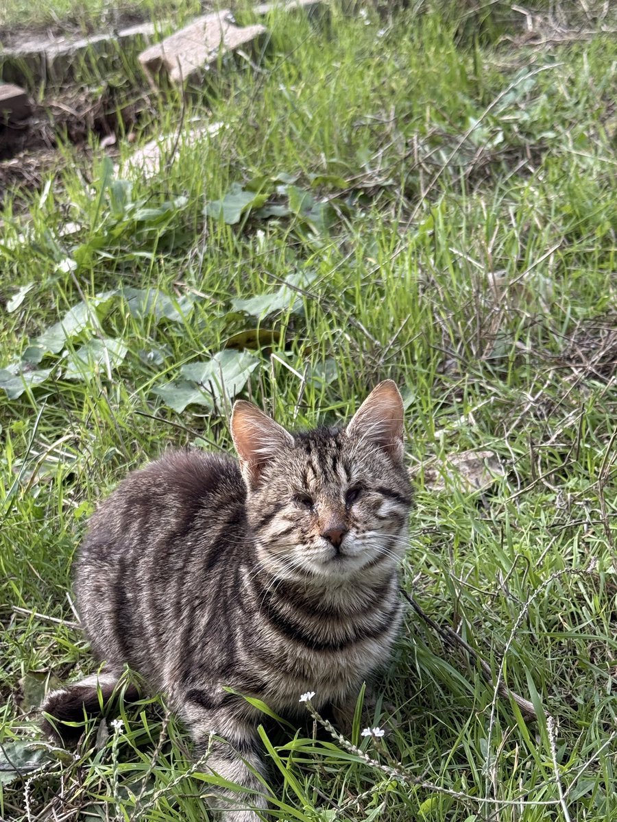 dünyalar güzeli bir çocuk şu suratının yuvarlaklığına bakın minicik ve görme engelli haliyle bahçede yaşıyor sürekli dayak yiyormuş yuva lütfen