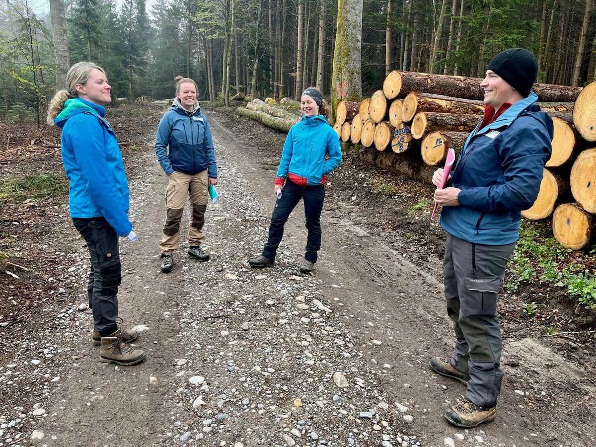 SingleTree_EU tweet media