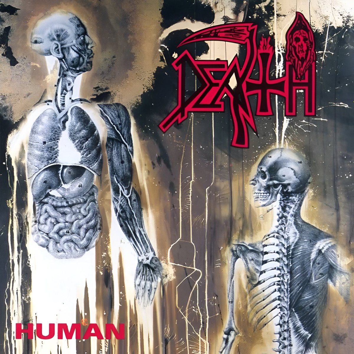 October 22nd 1991 𝐃𝐞𝐚𝐭𝐡 released the album “Human” #TogetherAsOne #SuicideMachine #TechnicalDeathMetal 

𝐃𝐢𝐝 𝐲𝐨𝐮 𝐤𝐧𝐨𝐰..
This was their only album to feature guitarist Paul Masvidal, drummer Sean Reinert and their first with bassist Steve DiGiorgio.