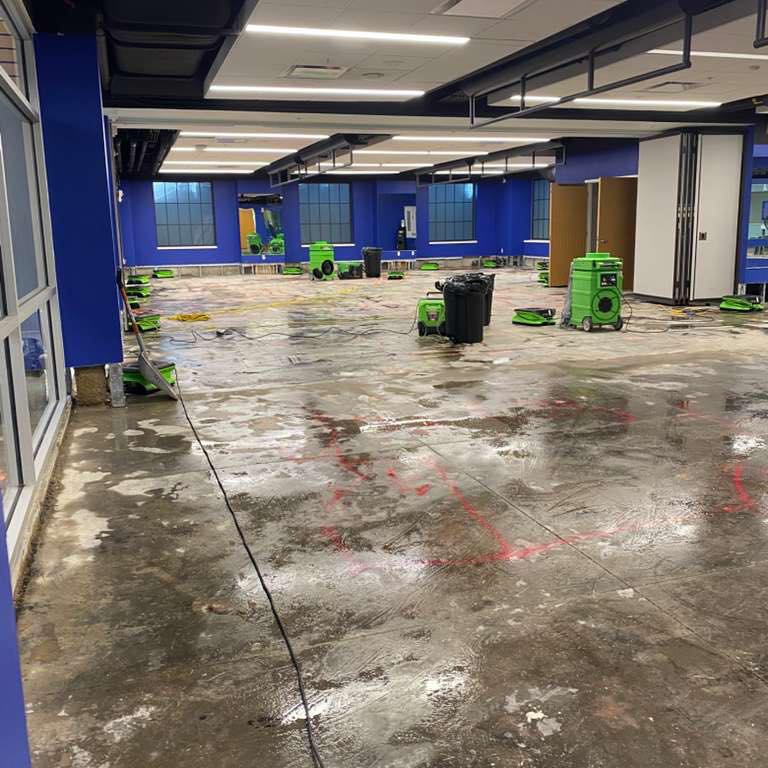 There’s more to restoration than just setting up some fans. Our technicians are trained on all of the proper ways to dry an area no matter what variables are involved!

Always trust a professional to ensure that your property damage doesn’t become an even bigger issue later on.