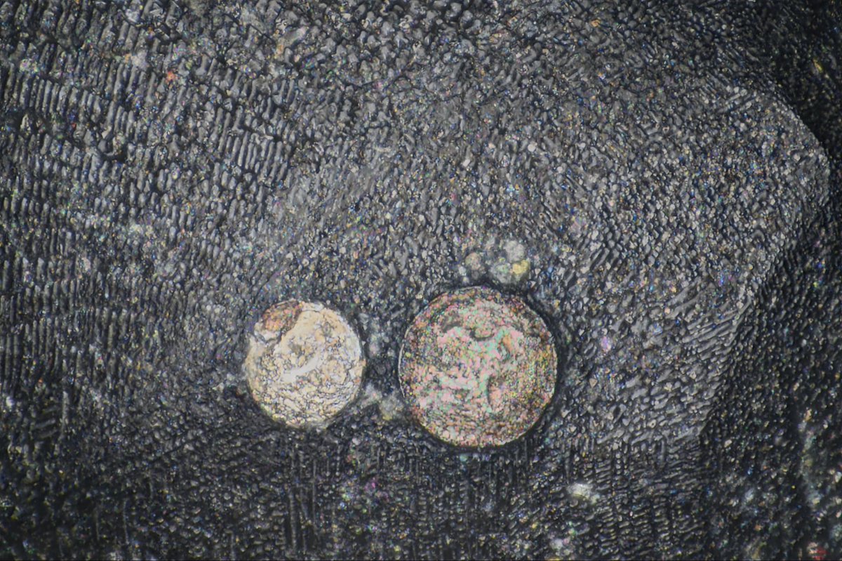 Scottmp123 tweet media