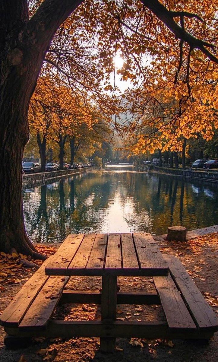 DisperseStar1's tweet image. Hoping for the best;

“Your current situation is not your final destination. The best is yet to come. Keep your hope alive and continue working toward your brighter future:”———

#HopeOnTheStage #hopecore