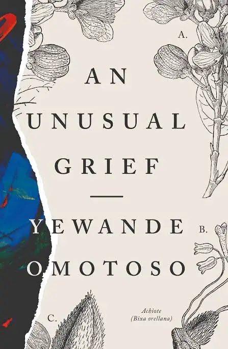 My only contribution to the ‘posting Nigerian Literature month’ is this book. Criminally underrated (not sure why). If I had been a judge in this year’s NLNG Prize, it would’ve made my shortlist.