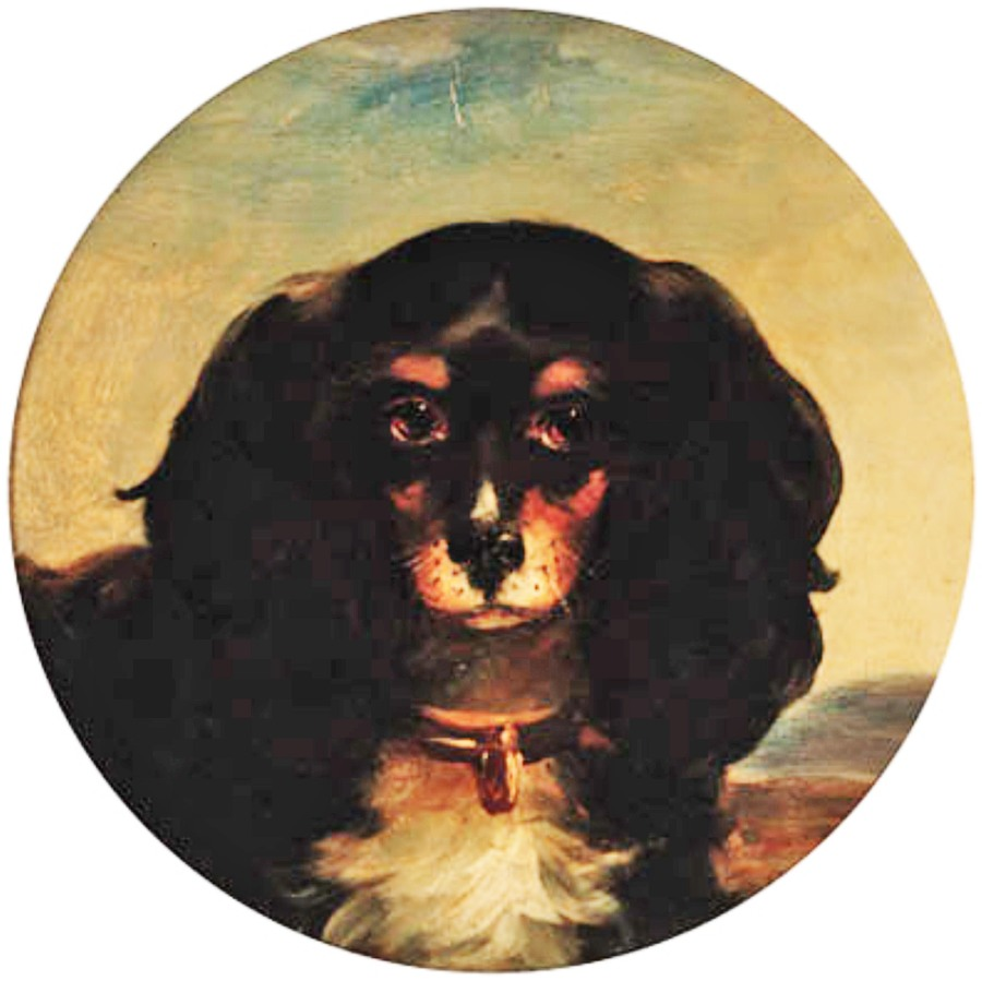 CAVALIERS IN ART: “Spot, a cavalier King Charles spaniel”, by William Bowness (British, 1809-1867).
#cavalierhealth #cavaliersinart #thedoginart