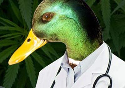 Anecdotally Speaking: Many General Practice Vets are MVD-Quacks!
cavalierhealth.org/blog.htm#Octob…