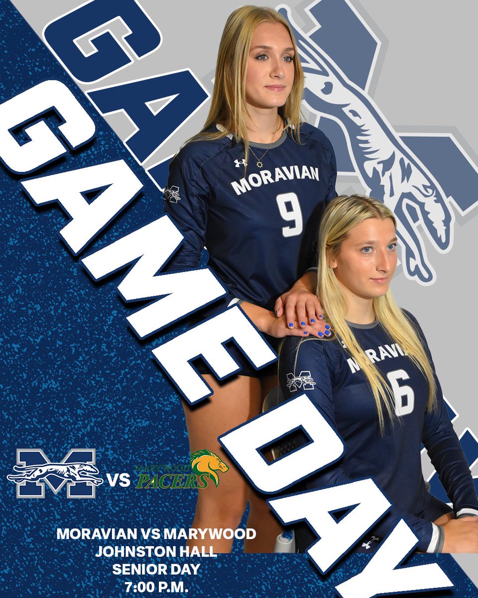 Moravian Greyhounds tweet media