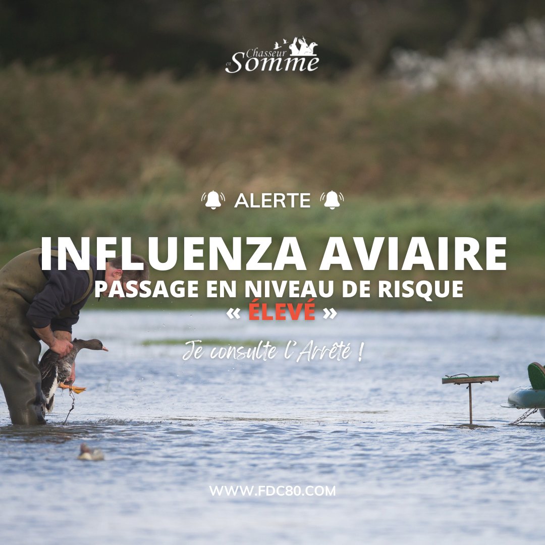 [INFLUENZA AVIAIRE] 🚨
Suite à la publication de l’#arrêté ministériel du 17 octobre 2025, le niveau de risque en matière d’#influenza #aviaire hautement pathogène (IAHP) passe de « modéré » à « 𝐞́𝐥𝐞𝐯𝐞́ » sur l'ensemble du territoire métropolitain.
ℹ️fdc80.com/blog/influenza…