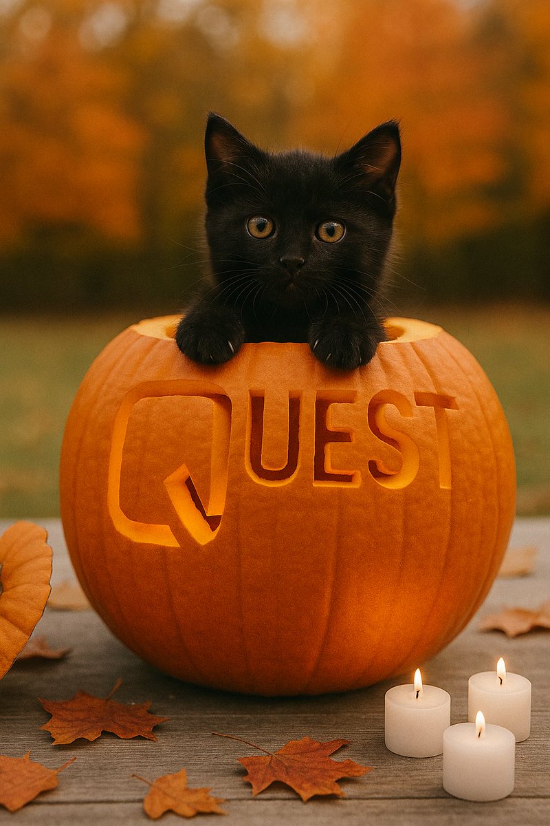 Questworkspaces's tweet image. We said we wouldn’t do it again… but the kitten climbed into a Quest-carved Jack-o-lantern.
So yeah, we’re shameless. #SorryNotSorry
Creativity, community, and a touch of adorable - that’s #QuestWorkspaces.
hubs.ly/Q03MwZdJ0