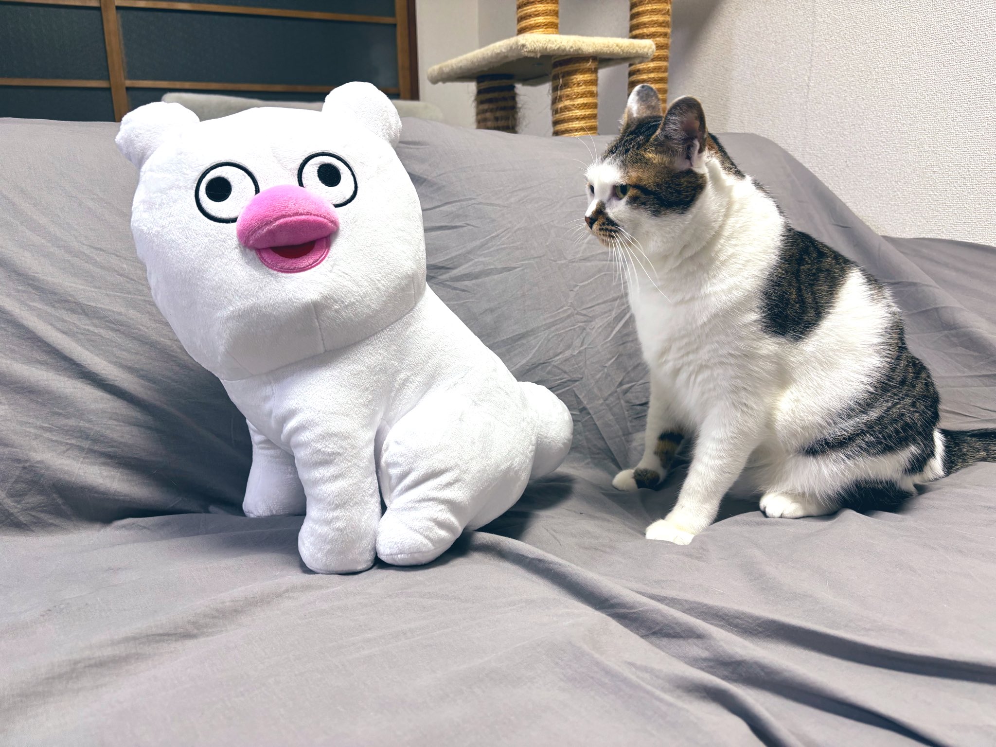 ハッチンパモス - Search / X