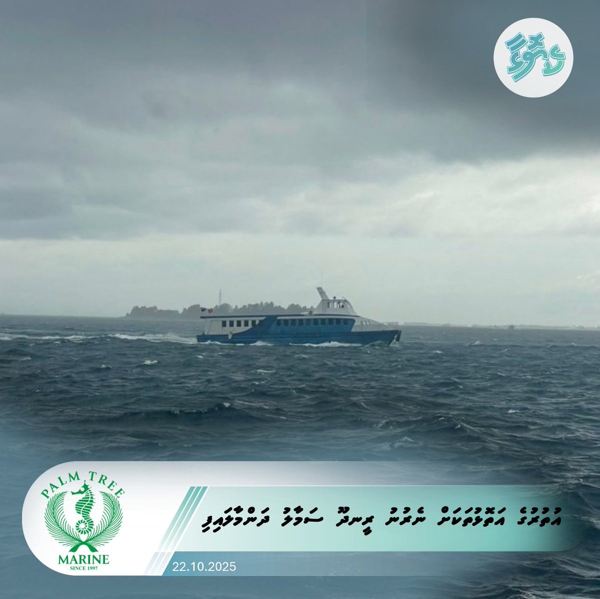 އުތުރުގެ އަތޮޅުތަކަށް ނެރުނު ރީނދޫ ސަމާލު ދަންމާލައިފި
keyolha.com/news/7941/