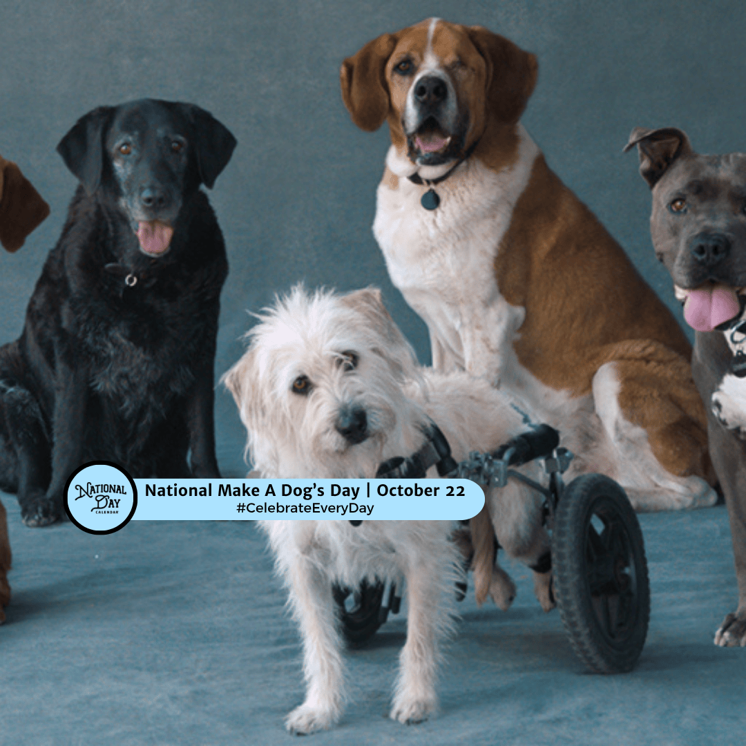 CelebrateNDC's tweet photo. The best way to make a dog’s day? Give them a forever home. 🏡🐶 #NationalMakeADogsDay

https://t.co/31Mfcpcw7V #celebrateeveryday #nationaldaycalendar https://t.co/5Jrr4lyyXy