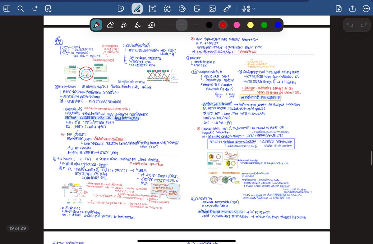 grproud_'s tweet photo. 2/6 pharmacology

อื้อหือ แบบ อื้อหือออออ ไม่คิดว่าวันนึงเราจะมาอ่านมาท่องอะไรขนาดนี้ ตอนนี้เหลือแค่สาธุ😆

กุ้ดโน้ตอัพเดทอีกแล้งรอบที่ล้าน แต่แอบรุ้สึกว่าพิมสนุดขึ้นน เหมือนยกโนชั่นมาเลย จริงๆคืออยากอวดสรุปมาก คือมันฟินๆๆๆ ิิ ปกติไม่ปริ้นมาอ่านแต่ปวดตาไม่หวาย https://t.co/yjr5o1WOyv