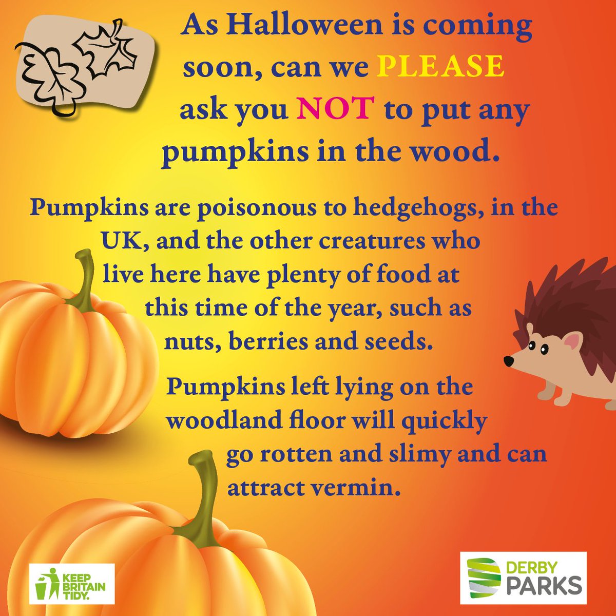 Halloween is approaching, so please do NOT to put pumpkins in the wood. The creatures who live there have plenty of food, nuts, berries, seeds, etc. Discarded pumpkins quickly go rotten and slimy, attract vermin and can seriously harm UK hedgehogs.

<a href="/derby_parks/">Derby Parks</a> <a href="/oakwoodderby/">Oakwood Derby</a>